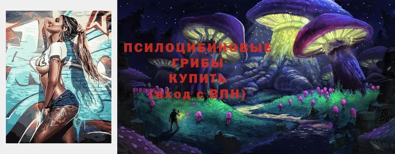 Галлюциногенные грибы Magic Shrooms  Тюмень 